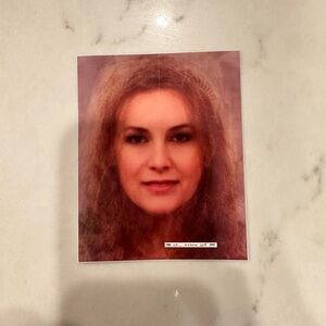 Supreme Stormy Daniels sticker